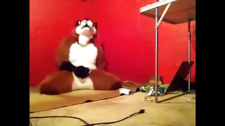 162 furry porn videos